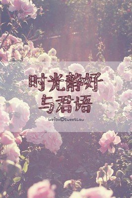 生时没句子