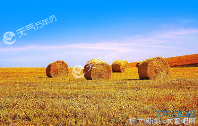 关于现在的优美句子