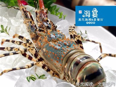 海宴名言大全