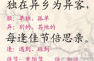有关王维的名言