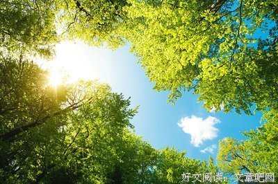 蝴蝶名句欣赏
