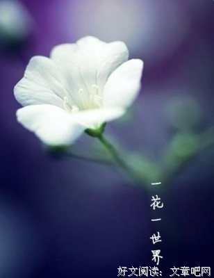 2018袁枚的名言名句