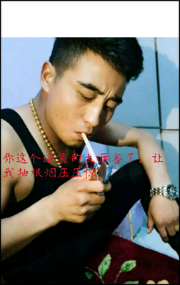 2018豆娘的名言名句
