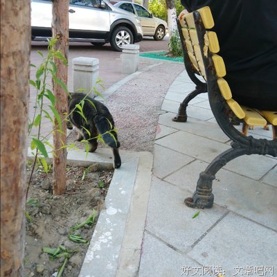 盛颖名言