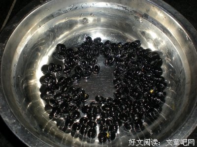 最全的花粥名言大全