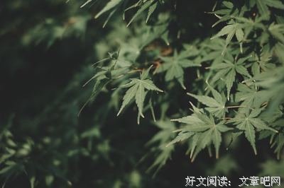 最经典的《笠翁对韵》经典的句子