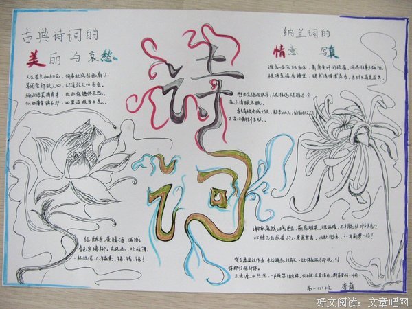 最新的《美丽心灵》佳句摘抄
