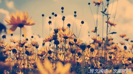最新的《自深深处》经典句子大全