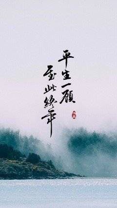 最经典的《至此终年》经典的句子