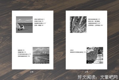 最新的《他们最幸福》语录摘抄大全