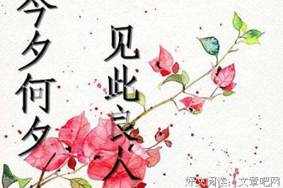 关于不知今夕何夕名言名句