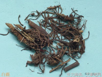 描写白薇的语句摘抄