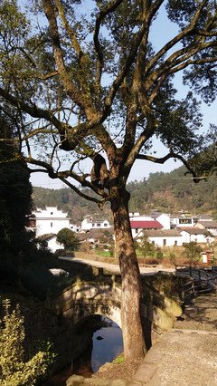 星相经典名句