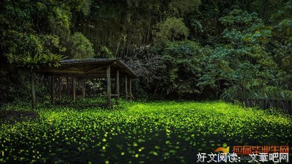关于杂的句子