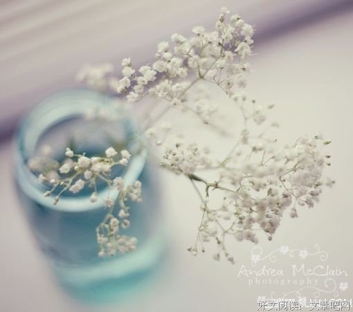 《【文艺范】》的句子
