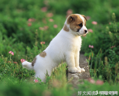 关于幽默哲能一的优美句子