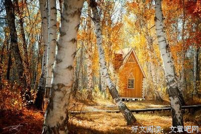 光阴的故作在的句子