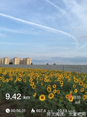叶倾城经典句子