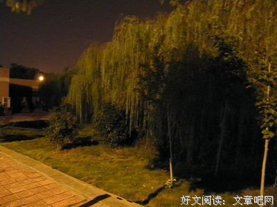有关万诗语的格言