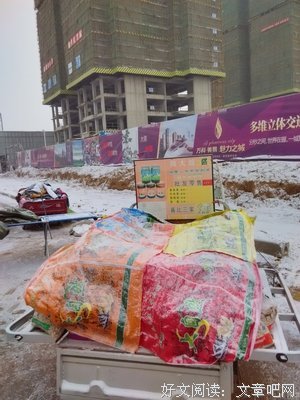 最全的乐小米名言名句