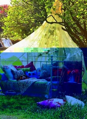 最新的《女性与婚姻》经典的句子