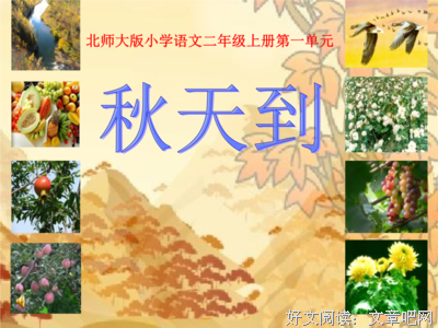 最经典的《弄点字谢谢》经典的句子大全