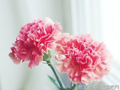 最经典的《恋恋中国风》经典语录