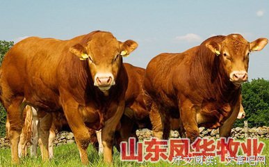 《我是演说家》经典语句