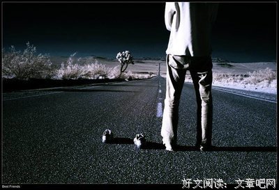 最全的《新结婚时代》经典语录大全