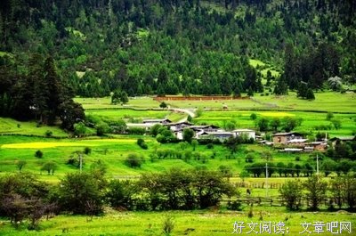 最全的《春来草自青》语录摘抄