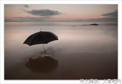 最经典的《番石榴飘香》经典语录大全