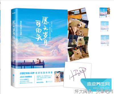 最经典的《萤火虫小巷》小说书摘