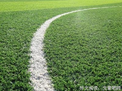 最全的《金钱与工作》经典句子