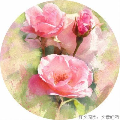 “对不起，没能陪你走完这一生”