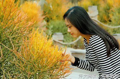 扁扁的句子