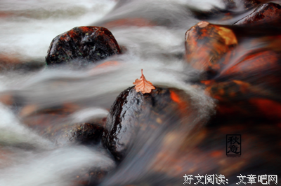 15条关于星月的经典语句