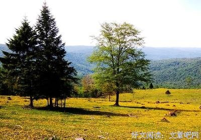 关于手软的名言