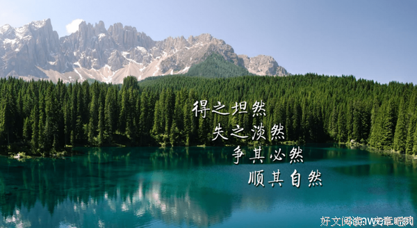 有关柏青的美文美句摘抄