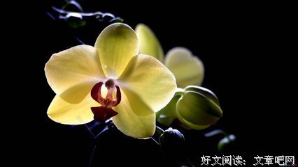 经典语录