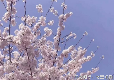 有关说着第自己听的句子
