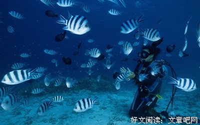 不是所有的鱼在有生们也四大在同一片大海经典名句