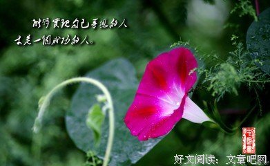 慧言哲语
