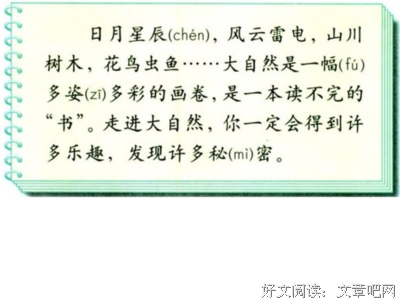 叔叔的书句子大全