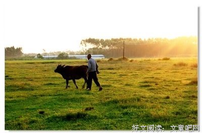 修鞋的阿伯的句子