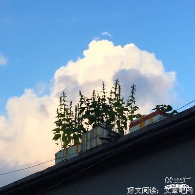 新海诚的名句