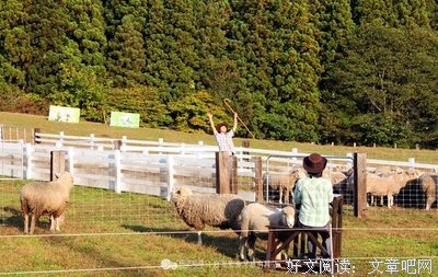 2018小岩井座右铭