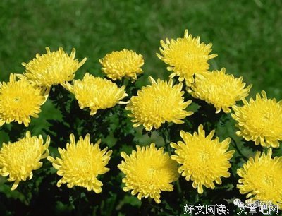 最经典的《我有一个秘密》经典句子