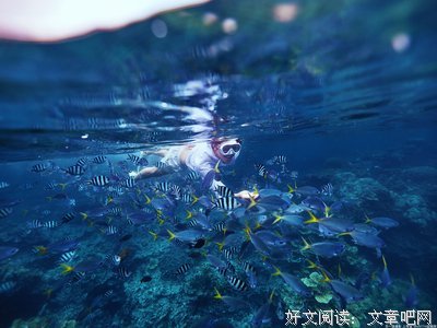 最新的《深海里的星星》语录摘抄