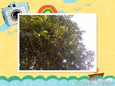 最经典的《谢谢你离开我》美文美句大全