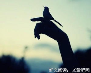 残酷的真相：低门槛的工作，带来低质量的生活